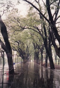Mirrored Walk, Parque Lezama in Buenos Aires, Argentina