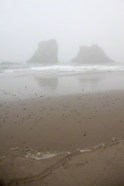 rocks on a misty beach