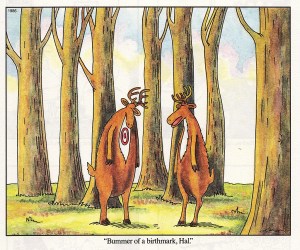 Gary Larson's The Far Side: 'Bummer of a birthmark, Hal.'